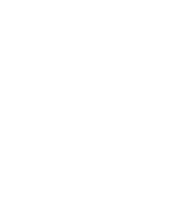 Birlinn ship mark